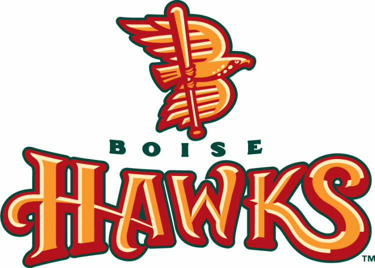 Boise Hawks 2011-Pres Primary Logo vinyl decal